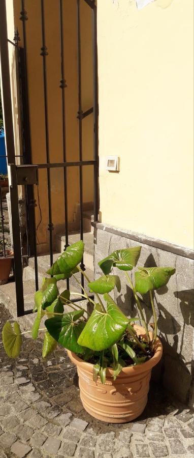 Pompei Vesevus Apartament Boscotrecase Екстериор снимка