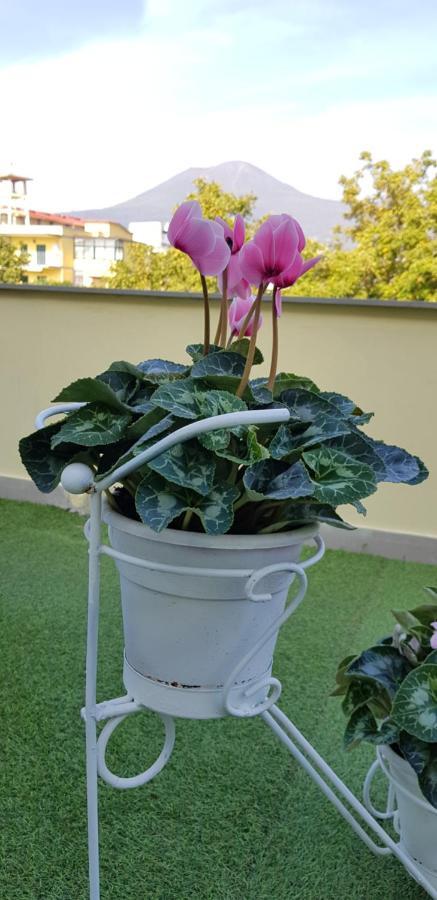 Pompei Vesevus Apartament Boscotrecase Екстериор снимка